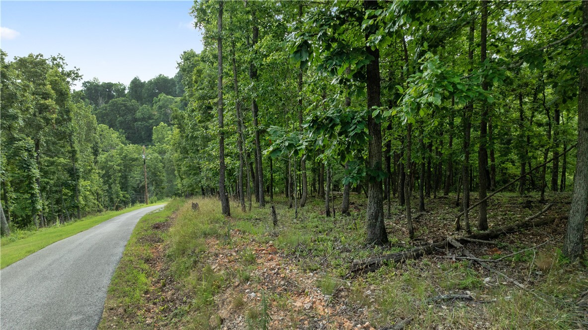 Property Photo:  Esculapia Hollow Road Lot 10  AR 72758 