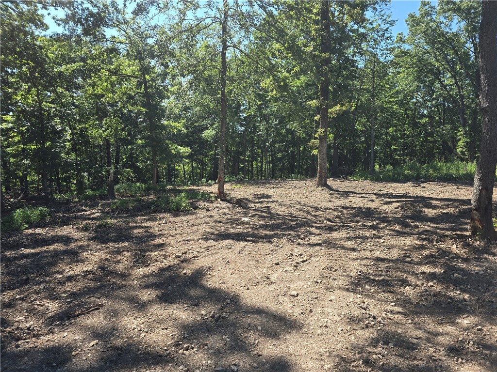 Property Photo:  Esculapia Hollow Road Lot 15  AR 72758 