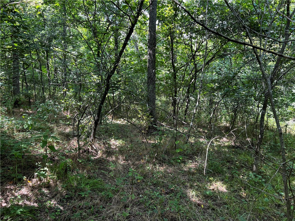 Property Photo: Granshire Drive AR 72714