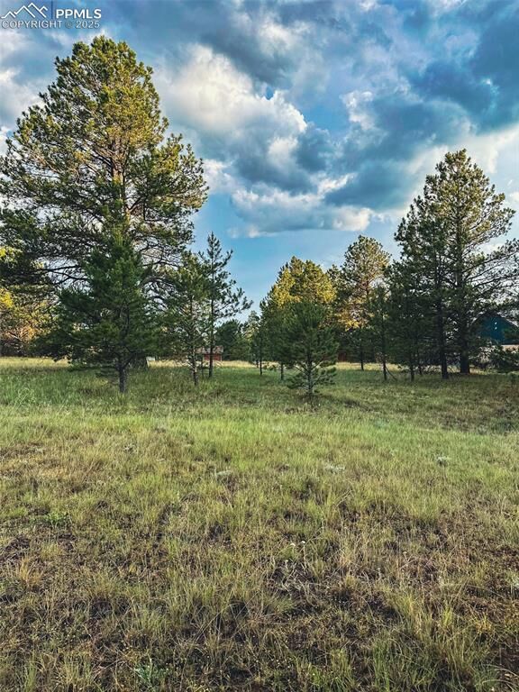 Property Photo:  34 Quartz Circle  CO 80816 