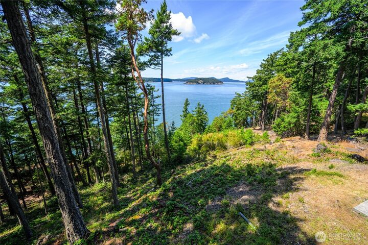 Property Photo:  0 Ec-19  East Cove Road  WA 98221 