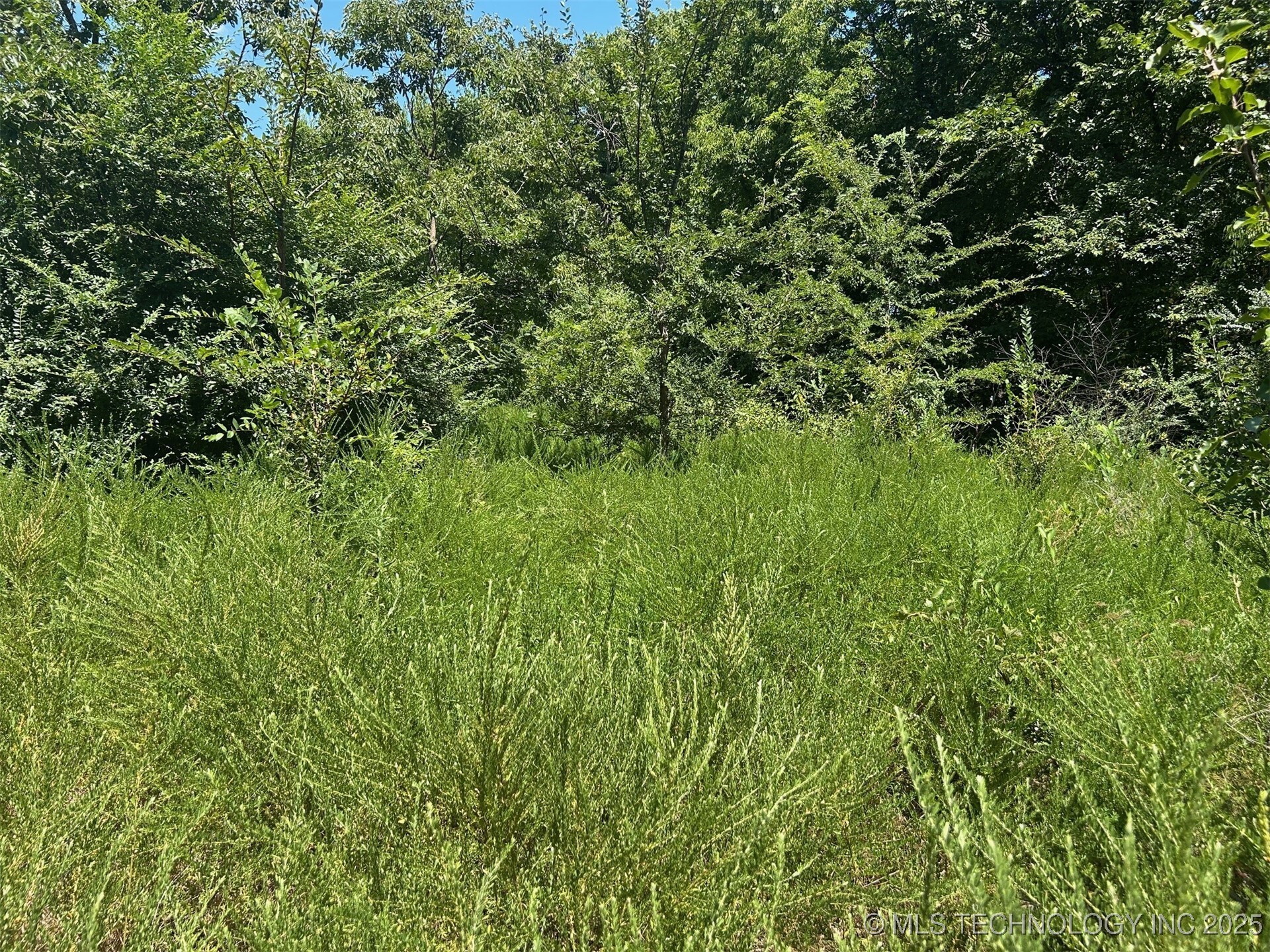 Property Photo: 0000 Cottonwood Road OK 74954