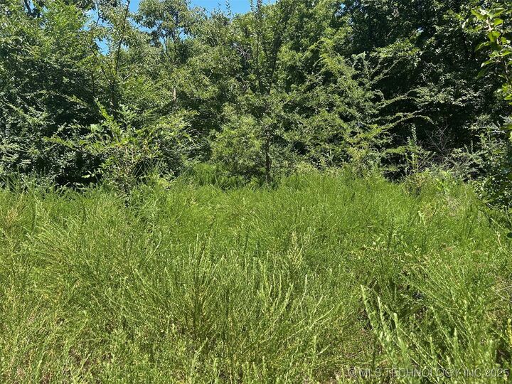 Property Photo: Cottonwood Road OK 74954
