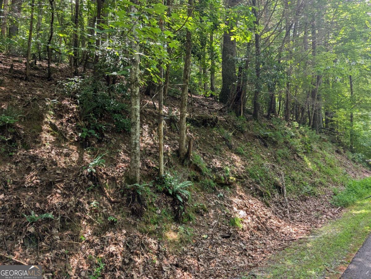 Property Photo: Lot P1 Goldmine Drive GA 30536