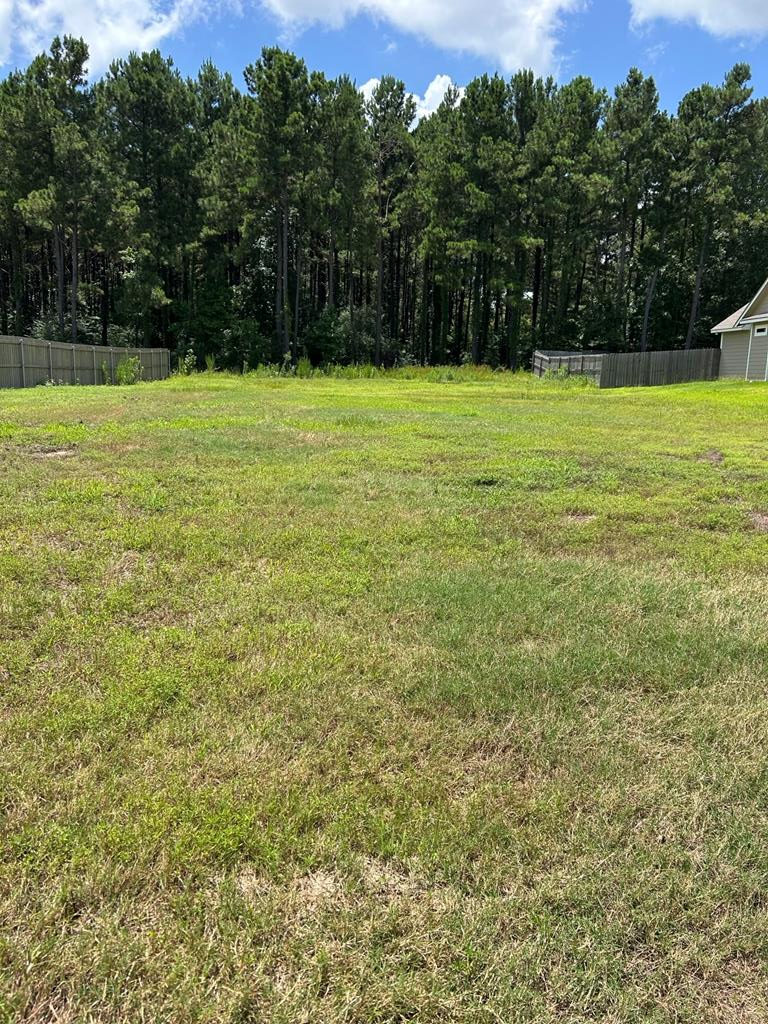 Property Photo: R143745 (Lot22) Dena Kay Drive TX 74904