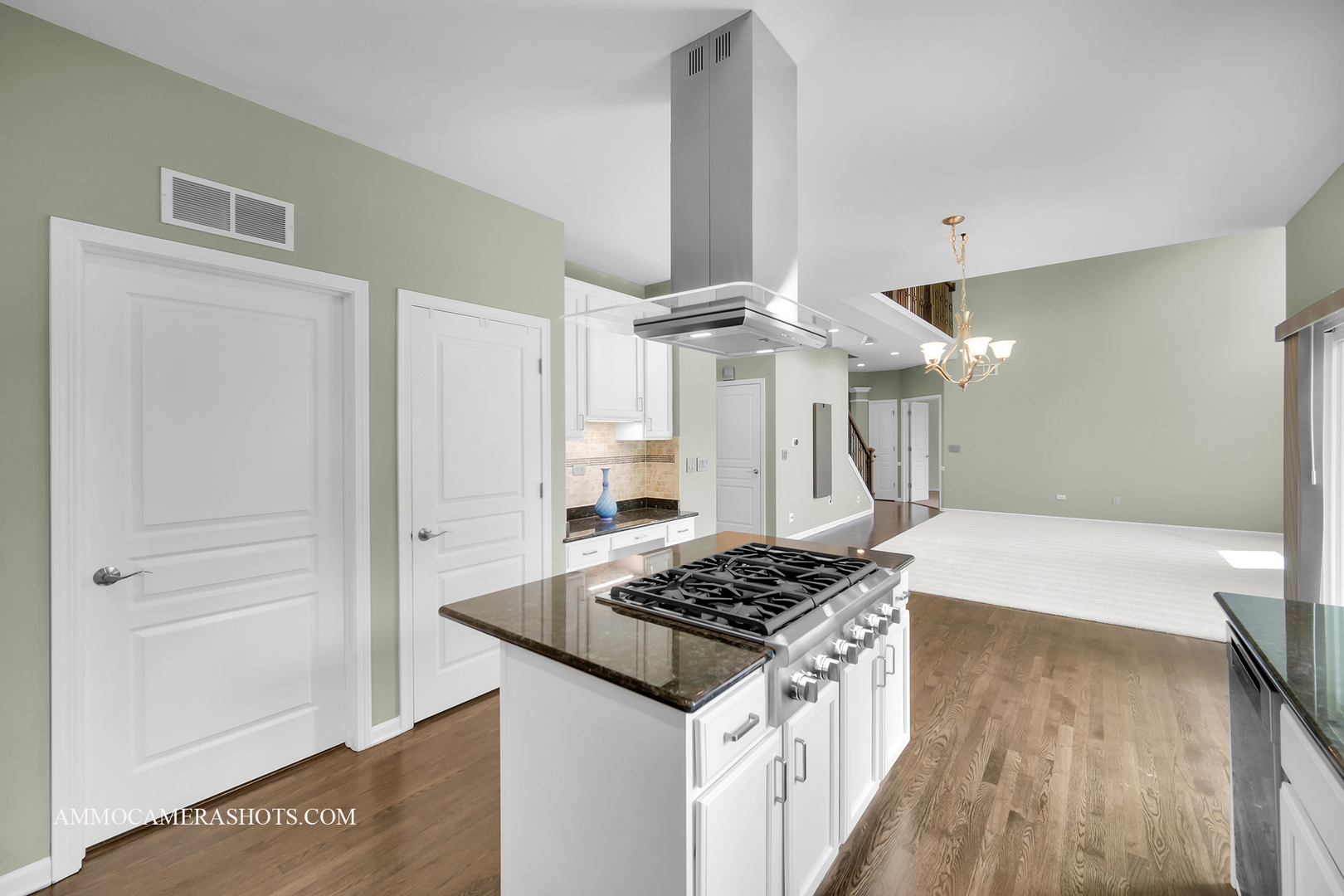 Property Photo: 351 Tiger Street IL 60490