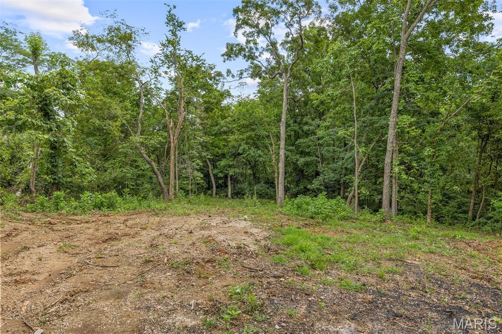 Property Photo:  9793 Grove Drive  MO 63628 