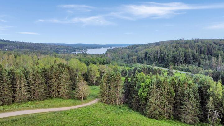 Property Photo:  Lot 75 Brisse Culotte Road  ME 04772 