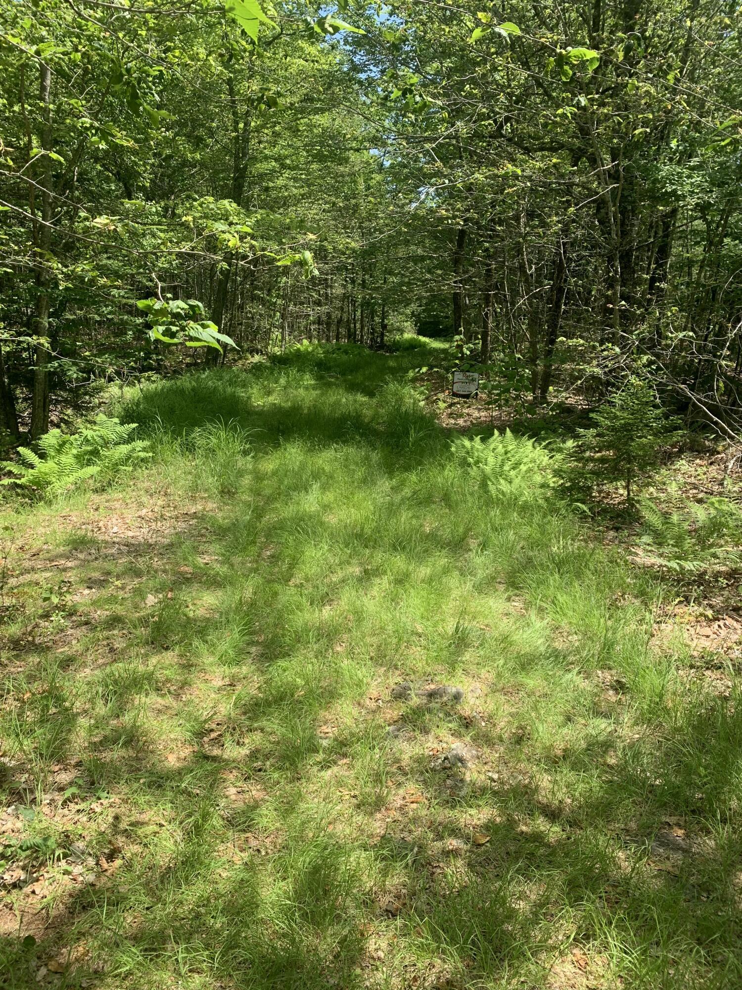 Property Photo: Lot 1 & 2 Richardson Road ME 04474