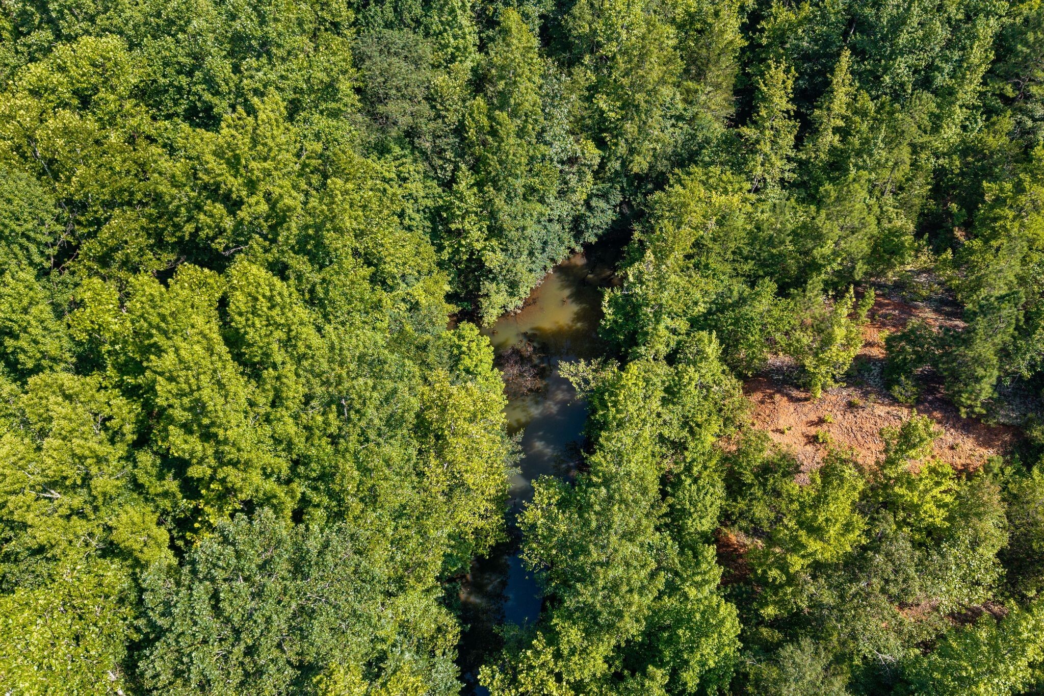 Property Photo: 0 Tracy Lane TN 38454
