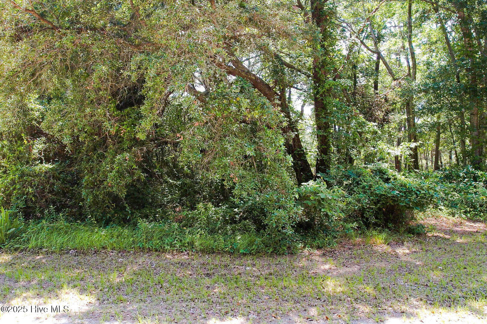 Property Photo:  1705 Long Shore Drive SW  NC 28470 