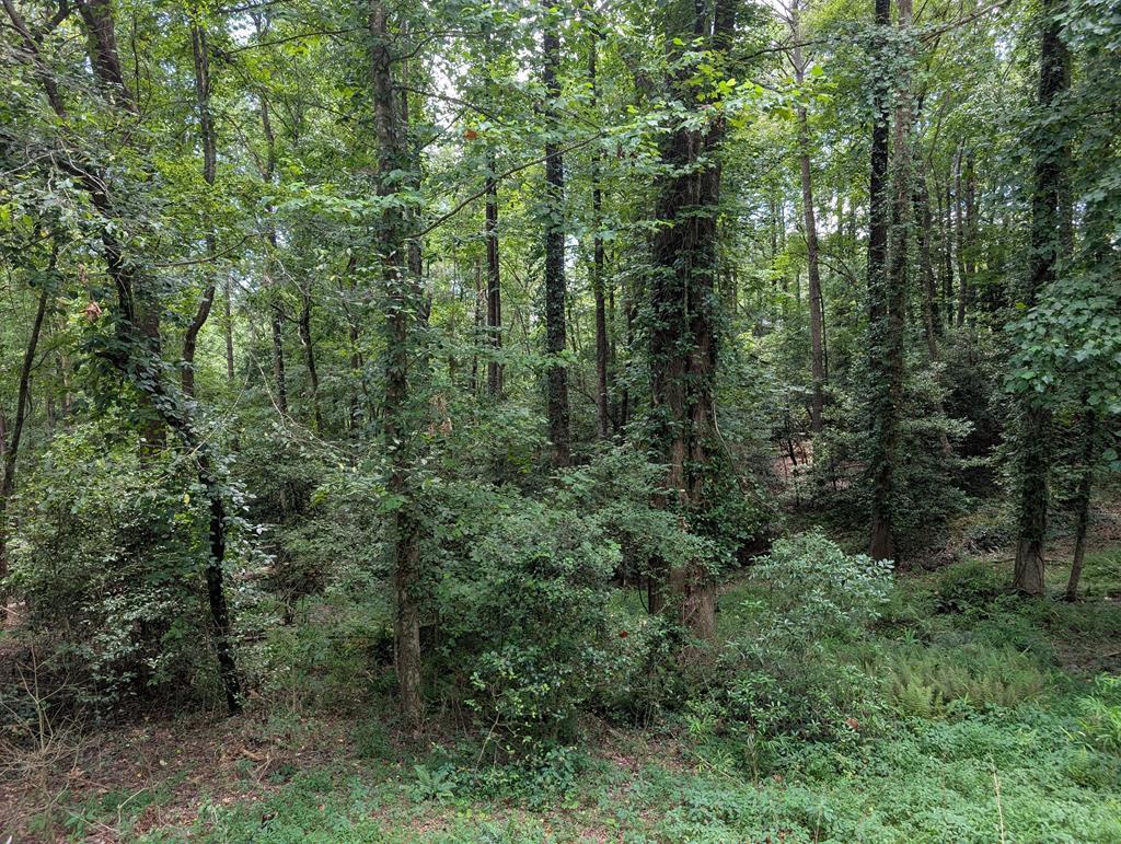 Property Photo: Lot 194 Shenendoa Drive GA 30540
