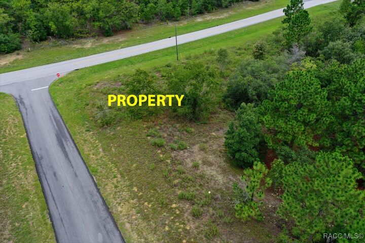 Property Photo:  2595 W Chamberlain Street  FL 34434 