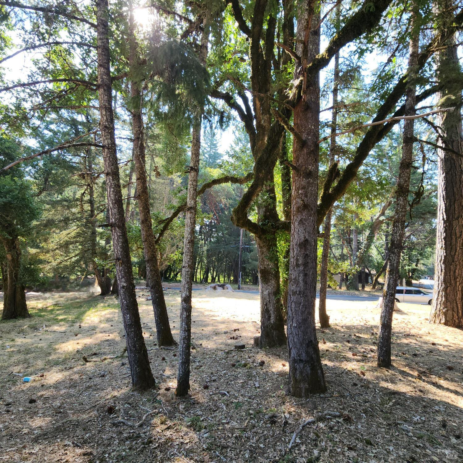Property Photo:  25331 Sherwood Road  CA 95490 