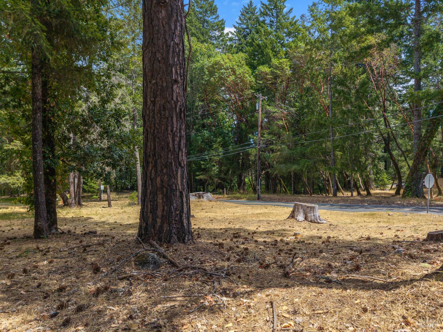 Property Photo:  25331 Sherwood Road  CA 95490 