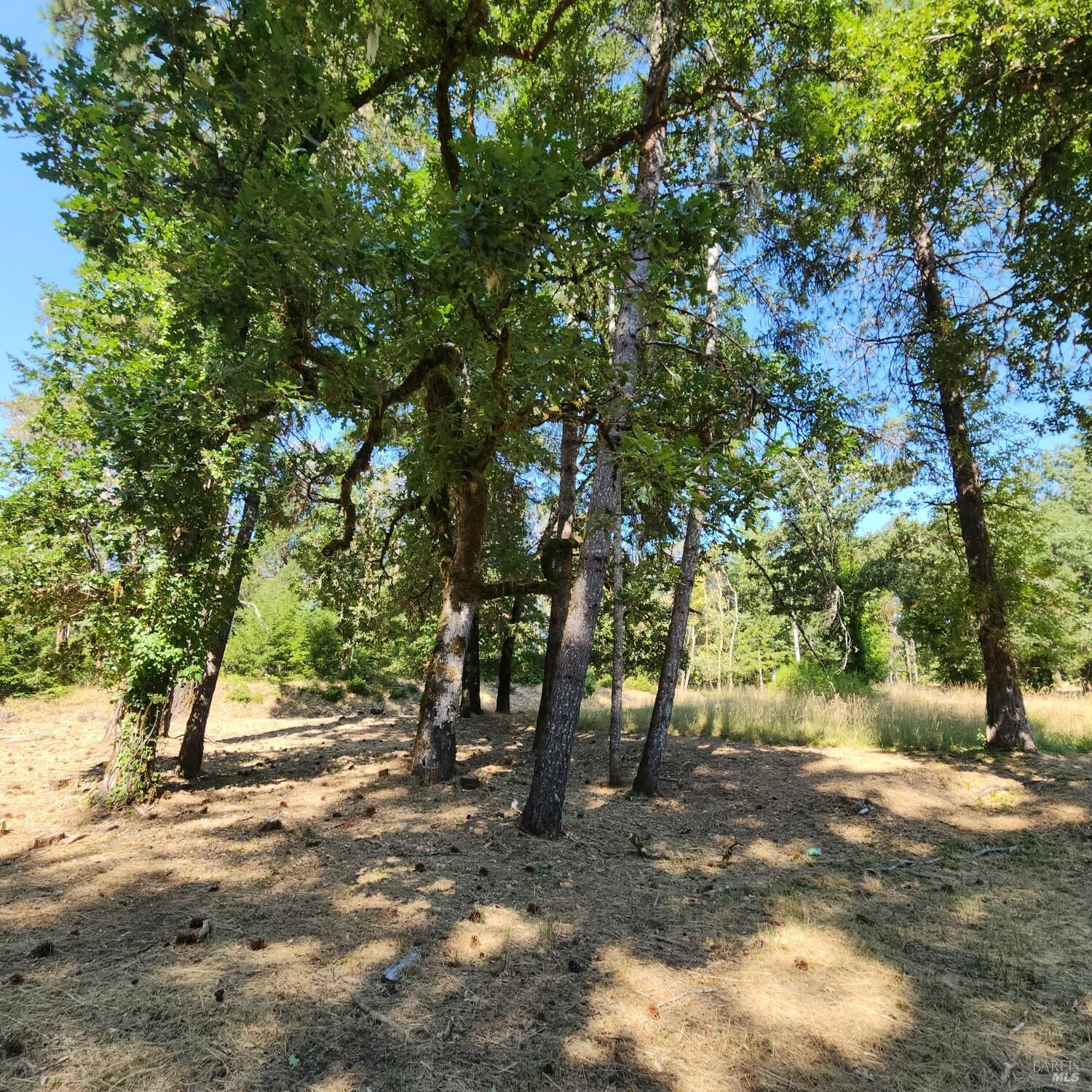 Property Photo: 25331 Sherwood Road CA 95490
