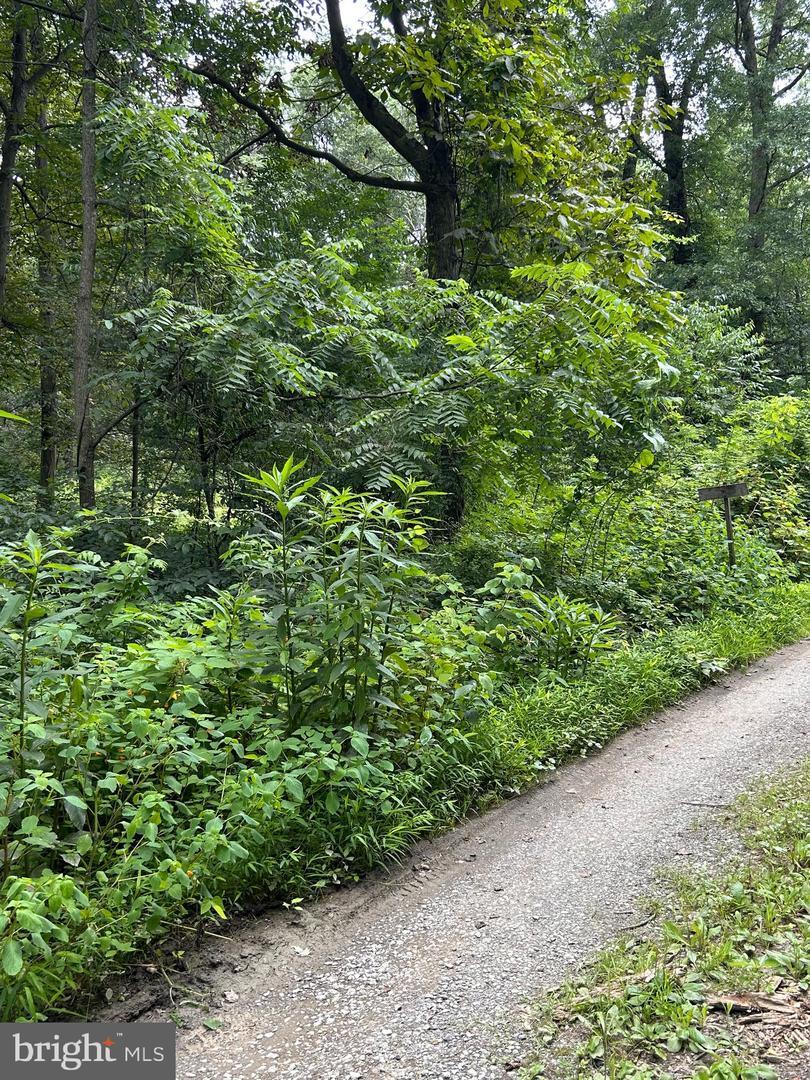 Property Photo: 0 Maclays Mill Road PA 17257