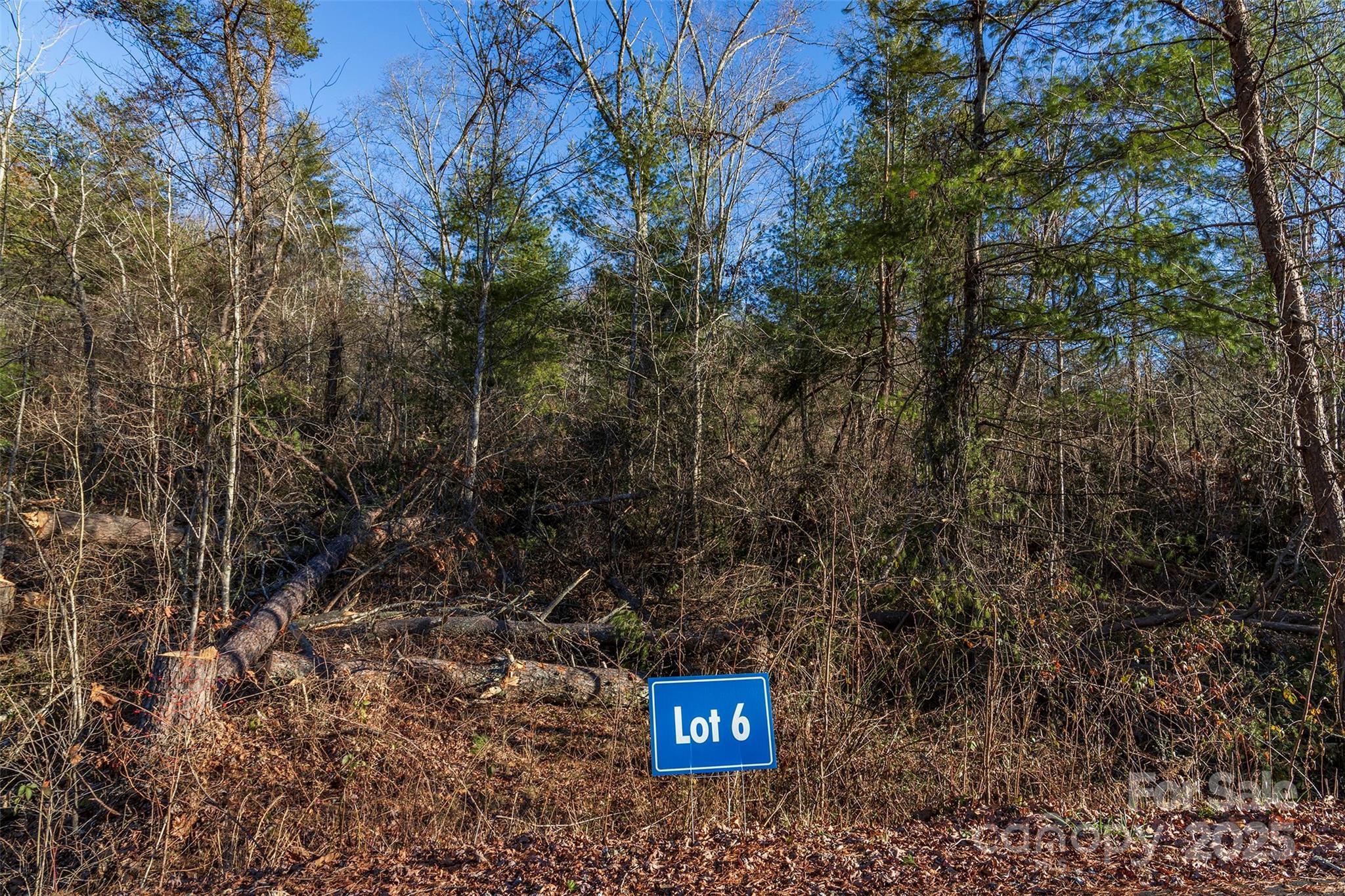 112 Saddle Ridge Drive 6  Alexander NC 28701 photo