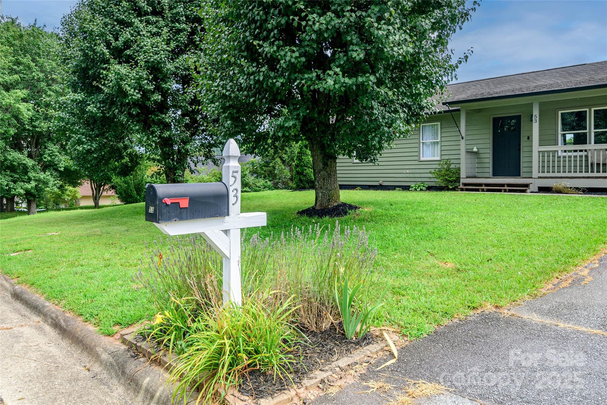 Property Photo:  53 Mount Carmel Drive  NC 28806 