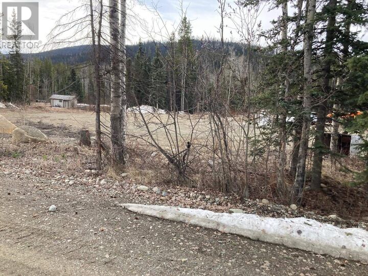 13063 Omineca Mining Access Road — photo 1