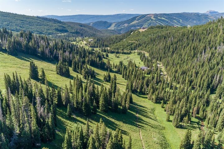 Property Photo: Lot 16 Beehive Basin Road MT 59716