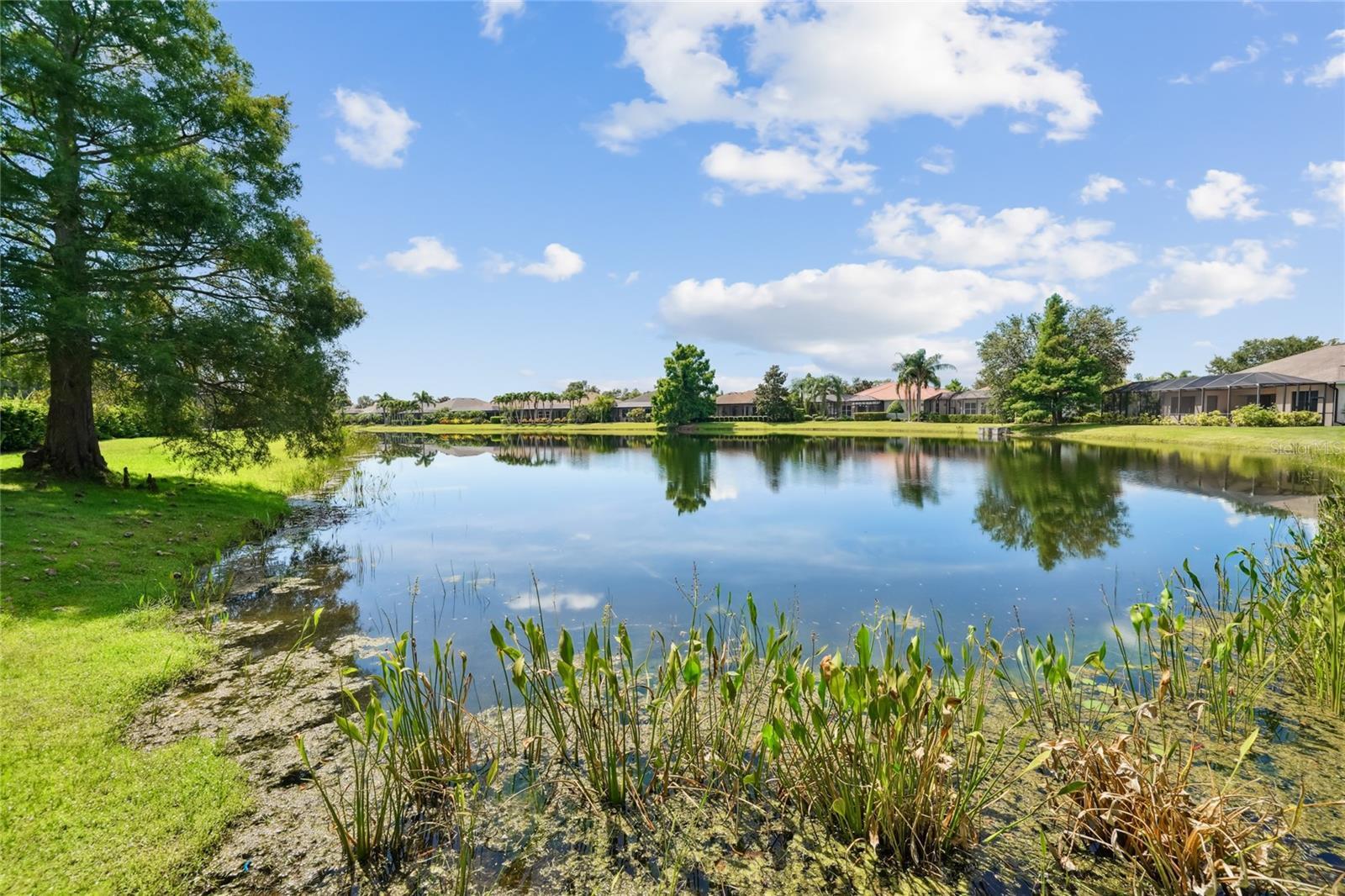 Property Photo: 14312 Silver Trout Drive FL 34202