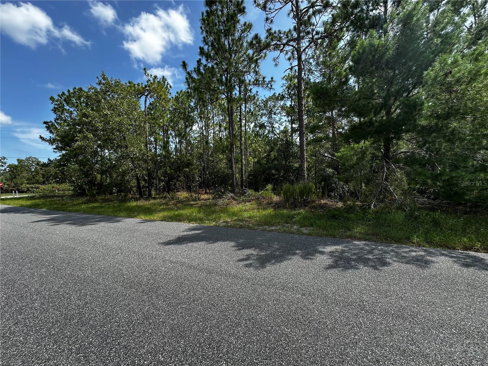 Property Photo:  5543 W Buckskin Drive  FL 34465 