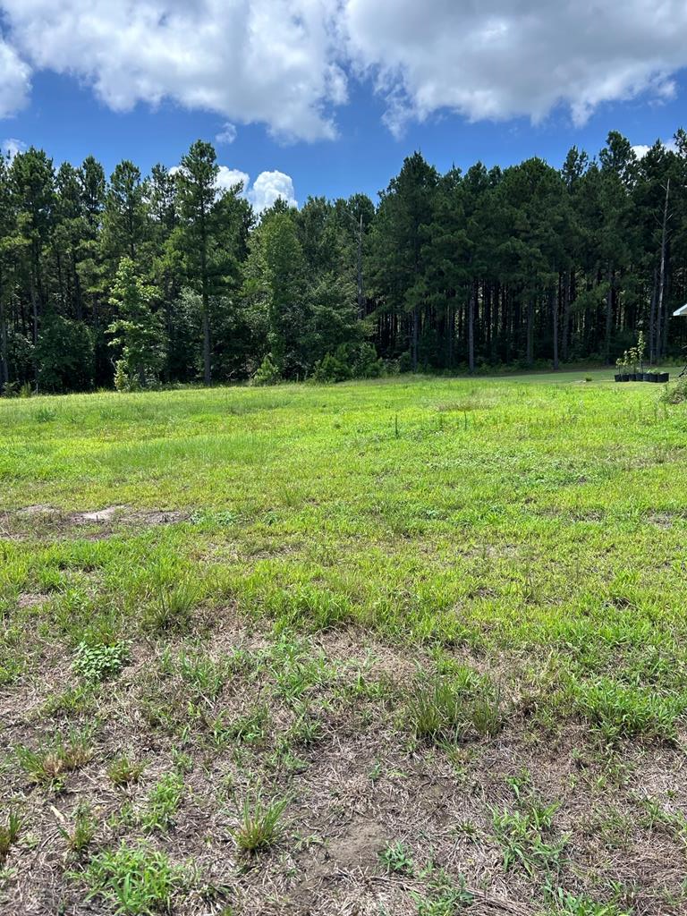 Property Photo:  R143742 Dena Kay Dr  TX 75904 