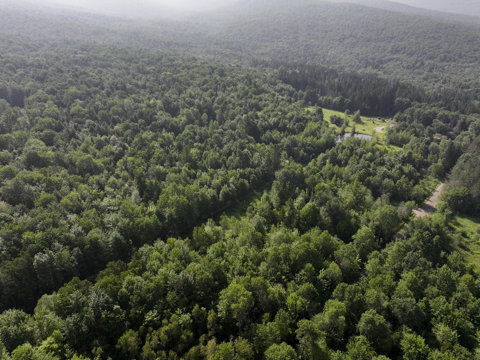 Property Photo: 0 Amidon Road VT 05471