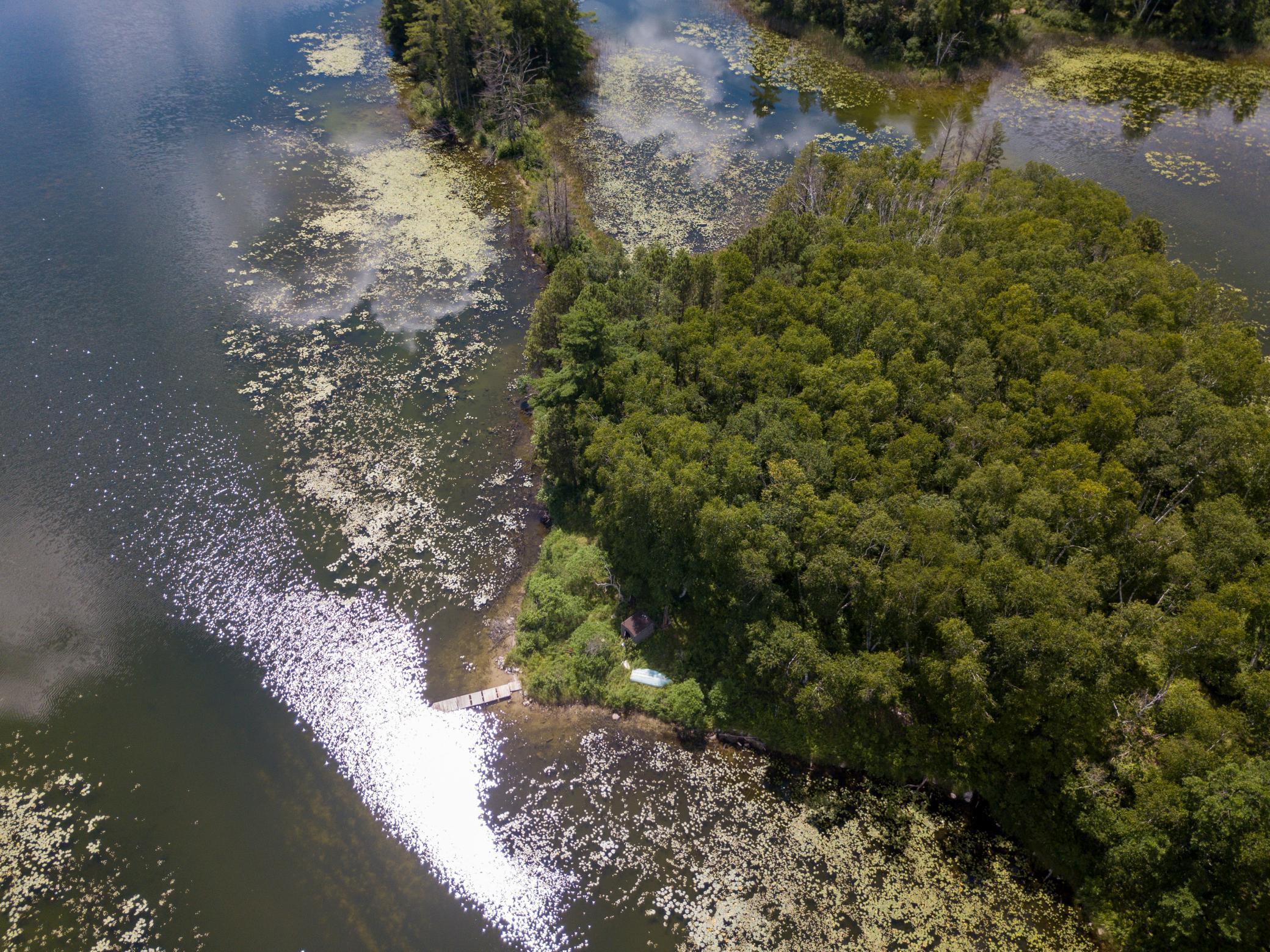 Property Photo: 22510 Spider Island MN 56467