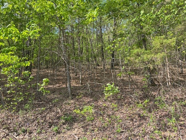 Property Photo:  33 Venus Avenue  AR 72631 