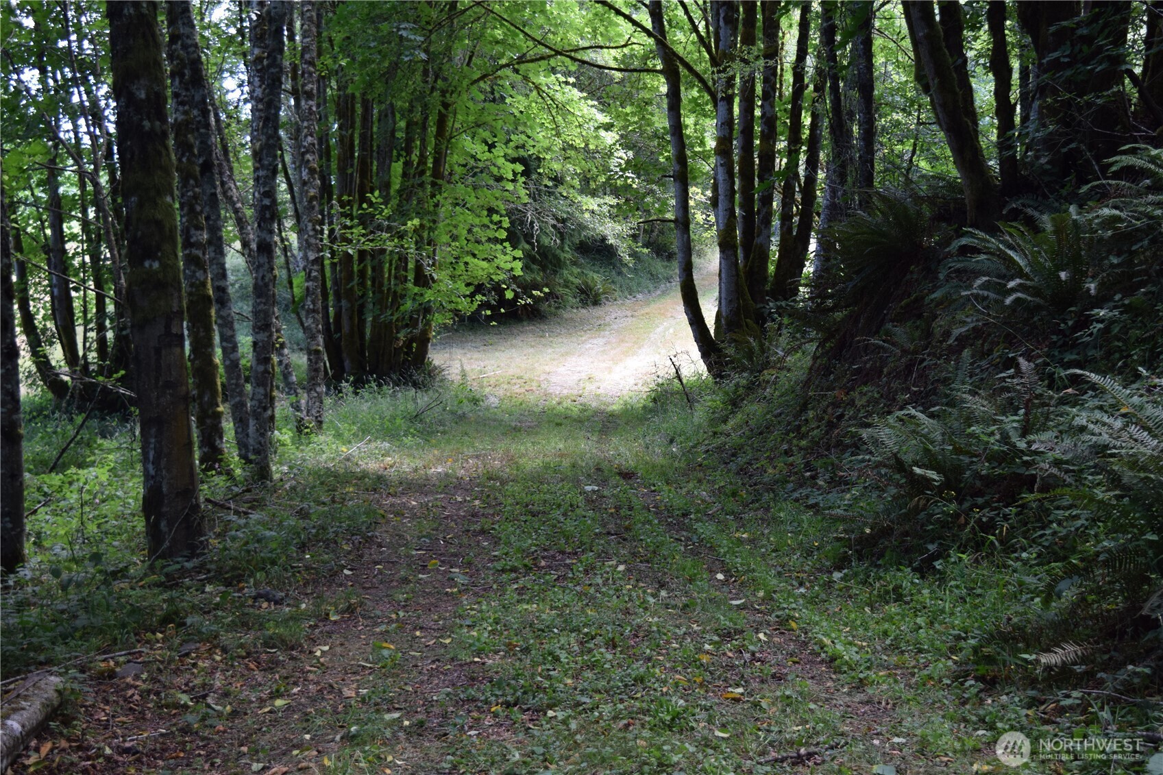 Property Photo: 1085 Oak Point Road WA 98632