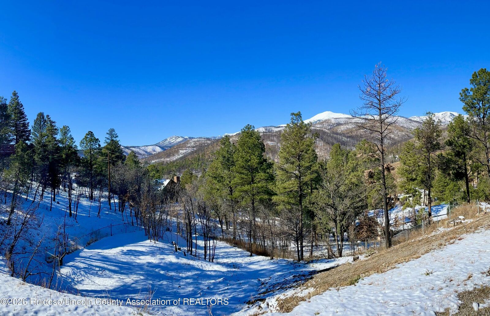 Property Photo: 237 Yellow Pine Road NM 88345