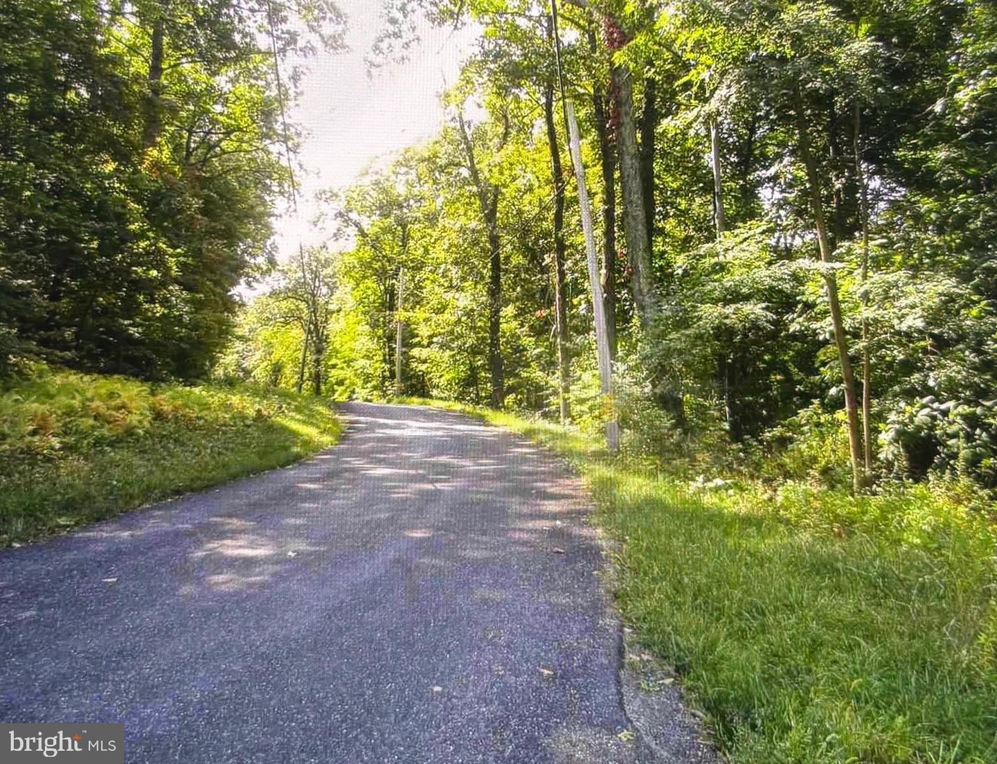Property Photo:  Tower Road Parcel 9  MD 21783 