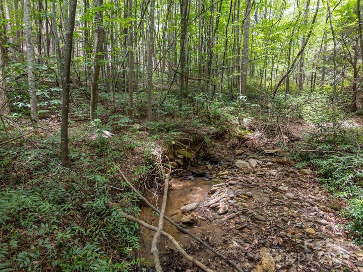 Property Photo: 000 Deep Gap Farm Road E NC 28756