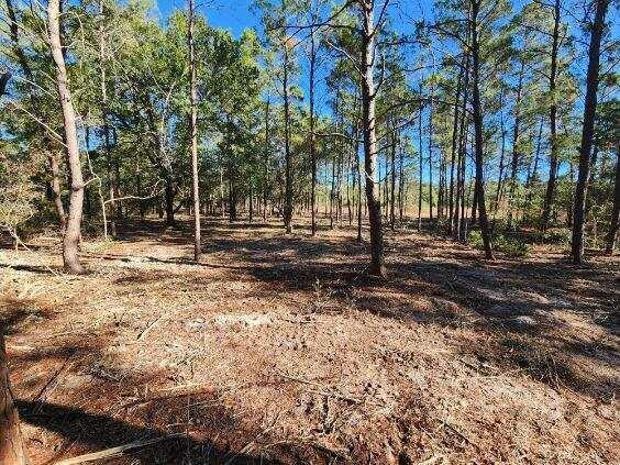 Property Photo:  1.2 Acres On Kelly Street  FL 32433 