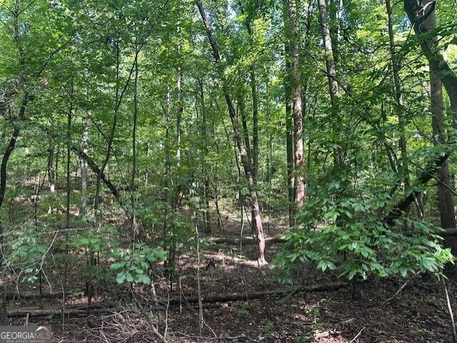 Property Photo: Tr10 - 4.64 Acr Wendy Hill Road GA 30175