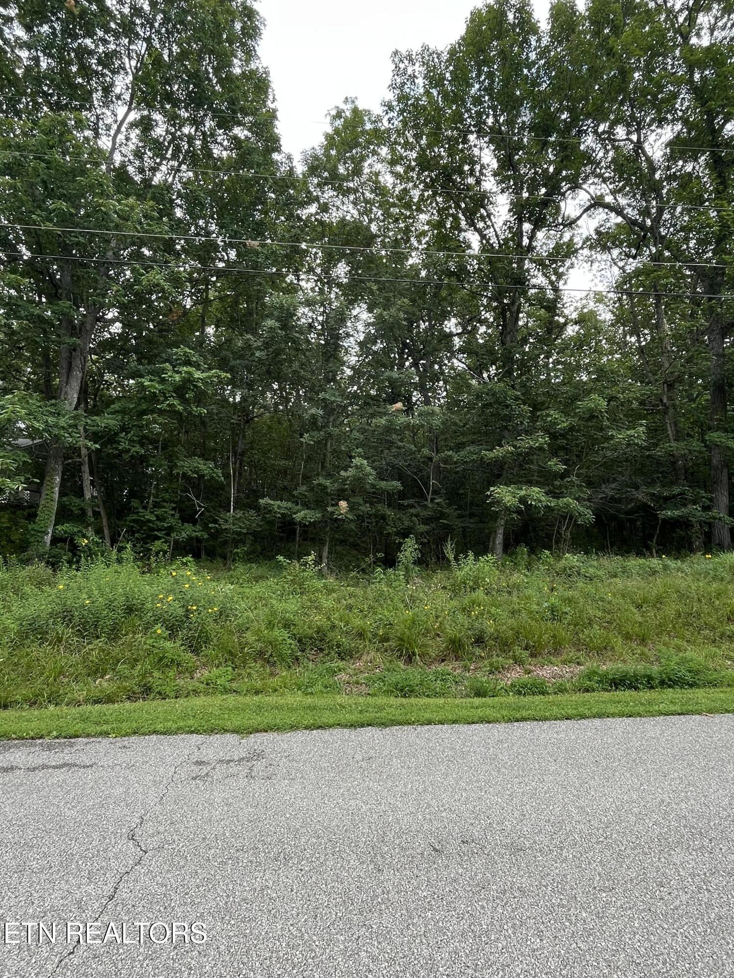 Property Photo:  155 Canterbury Dr. Drive  TN 38558 
