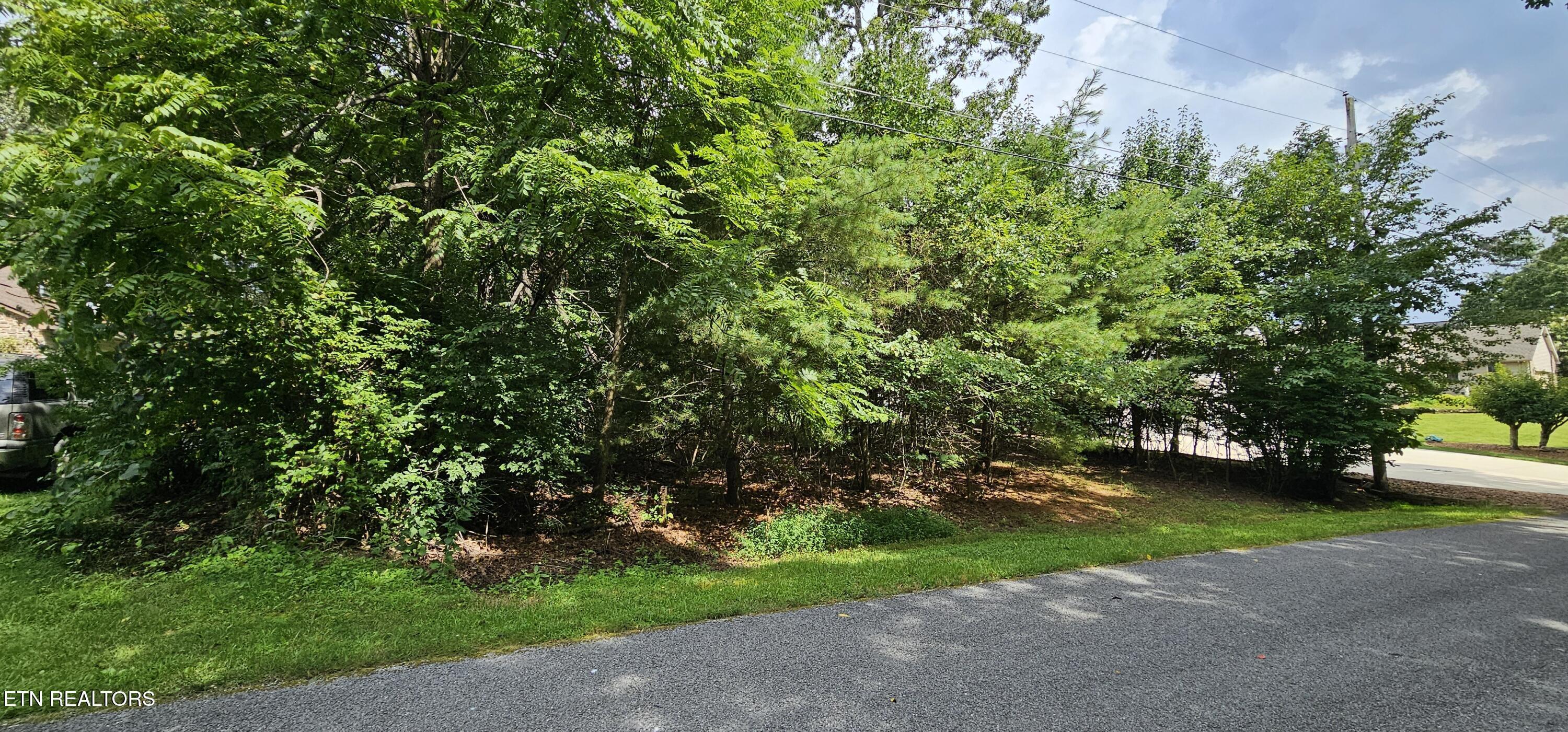 Property Photo:  3116 Seminole Loop  TN 38572 