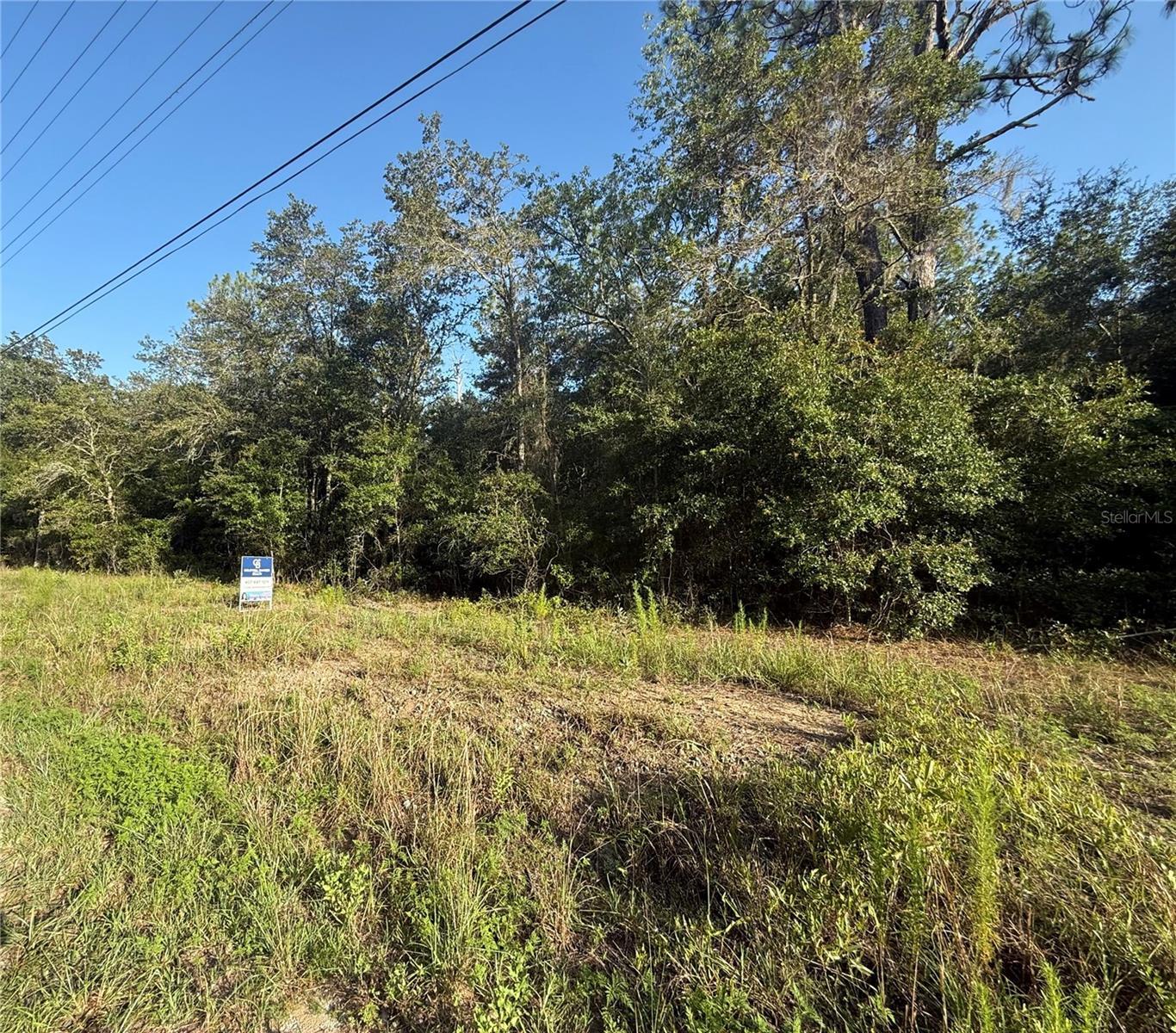 Property Photo: SW Sea Cliff Avenue FL 34431