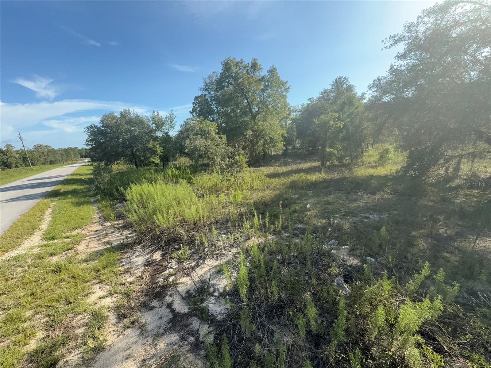 Property Photo: SW Big Bear Ridge FL 34431