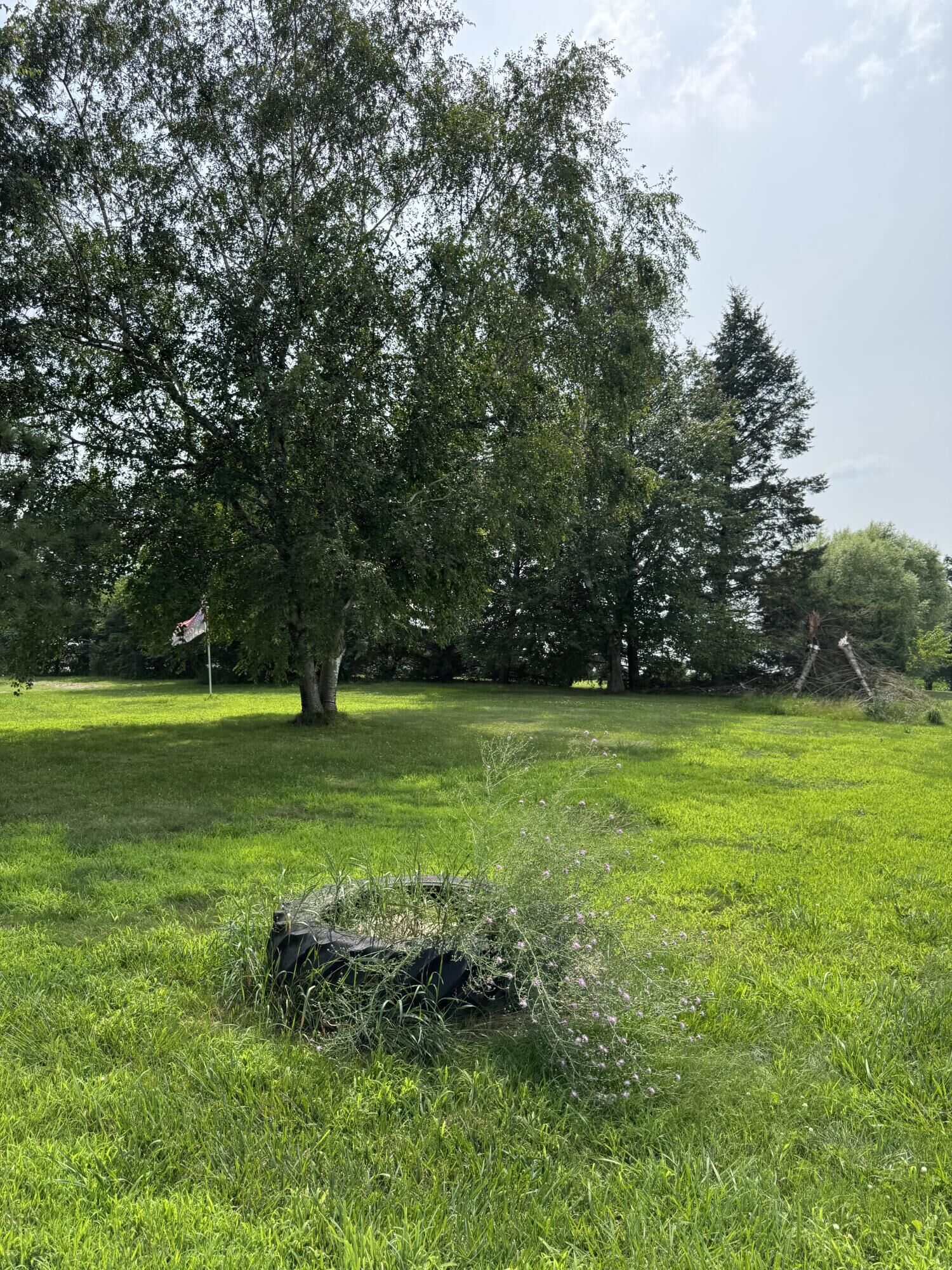 Property Photo:  6828 Shuman Road  MI 48890 