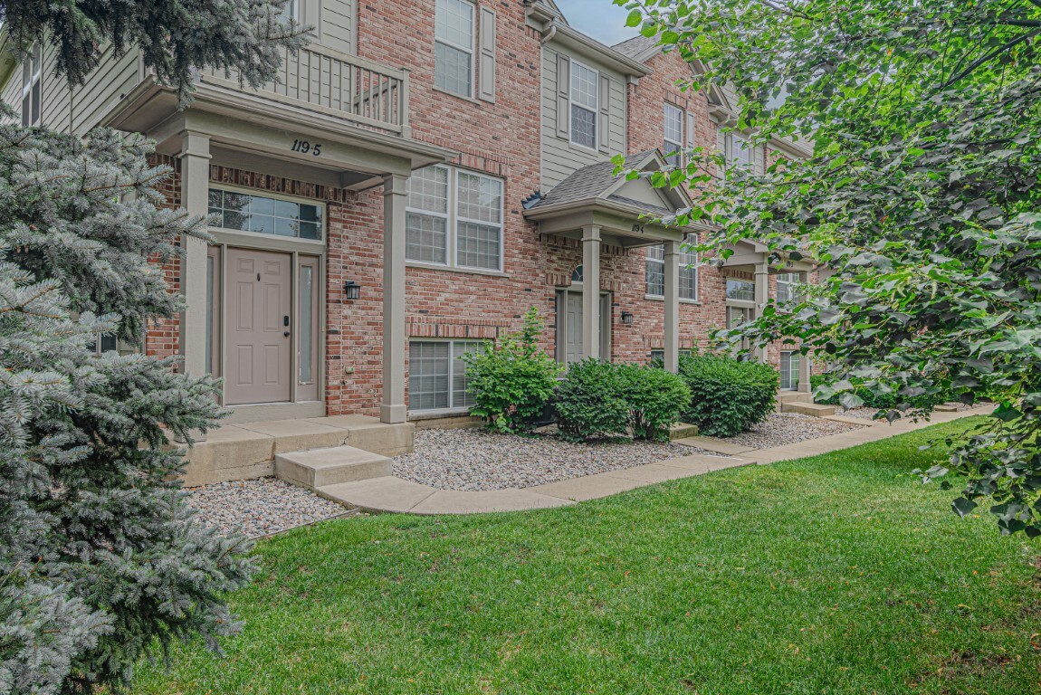 Property Photo: 119 Blackhawk Court 5 IL 60191
