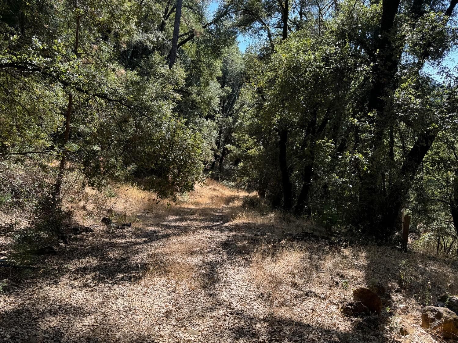 Property Photo: 15539 Norvin Way CA 95949