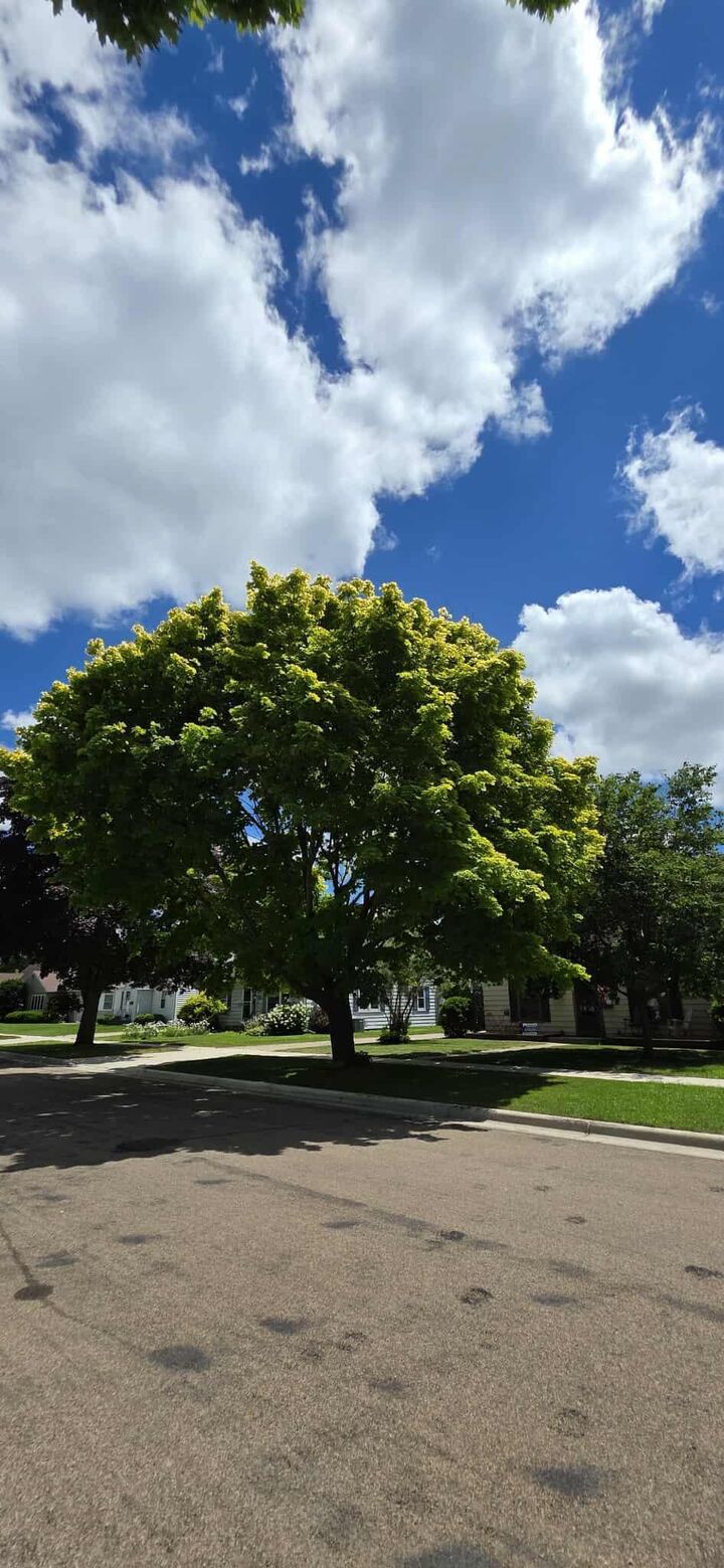 Property Photo: 210 Giles Place MN 56007