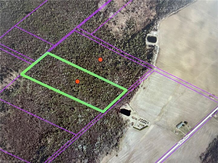 Pt Blk - 2 Ellis Avenue — photo 1