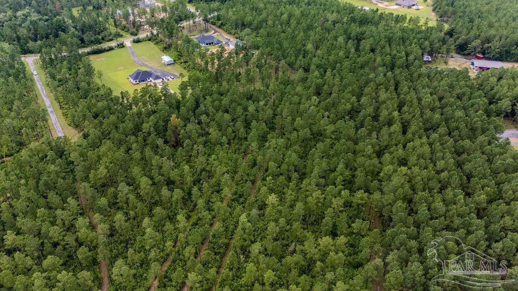 Property Photo: 55 Sage Forest Ln FL 32571