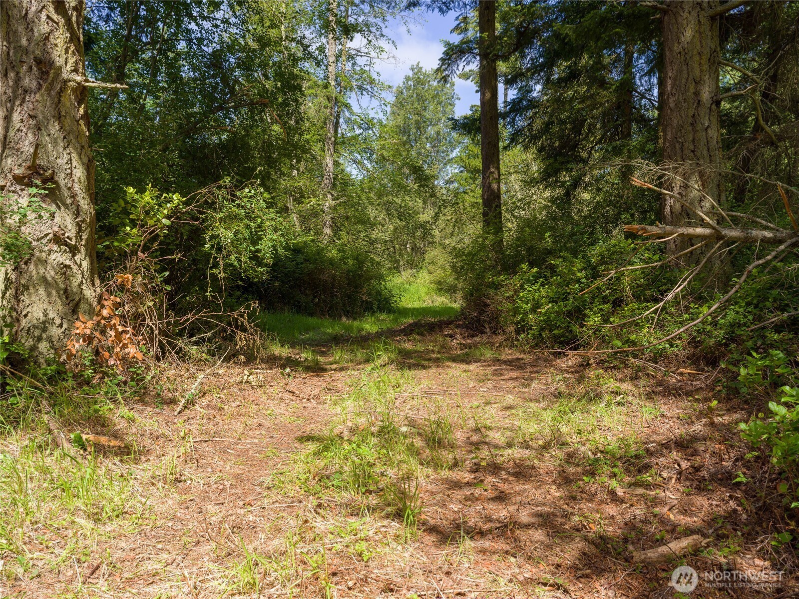 Property Photo: 1486 Center Road WA 98261