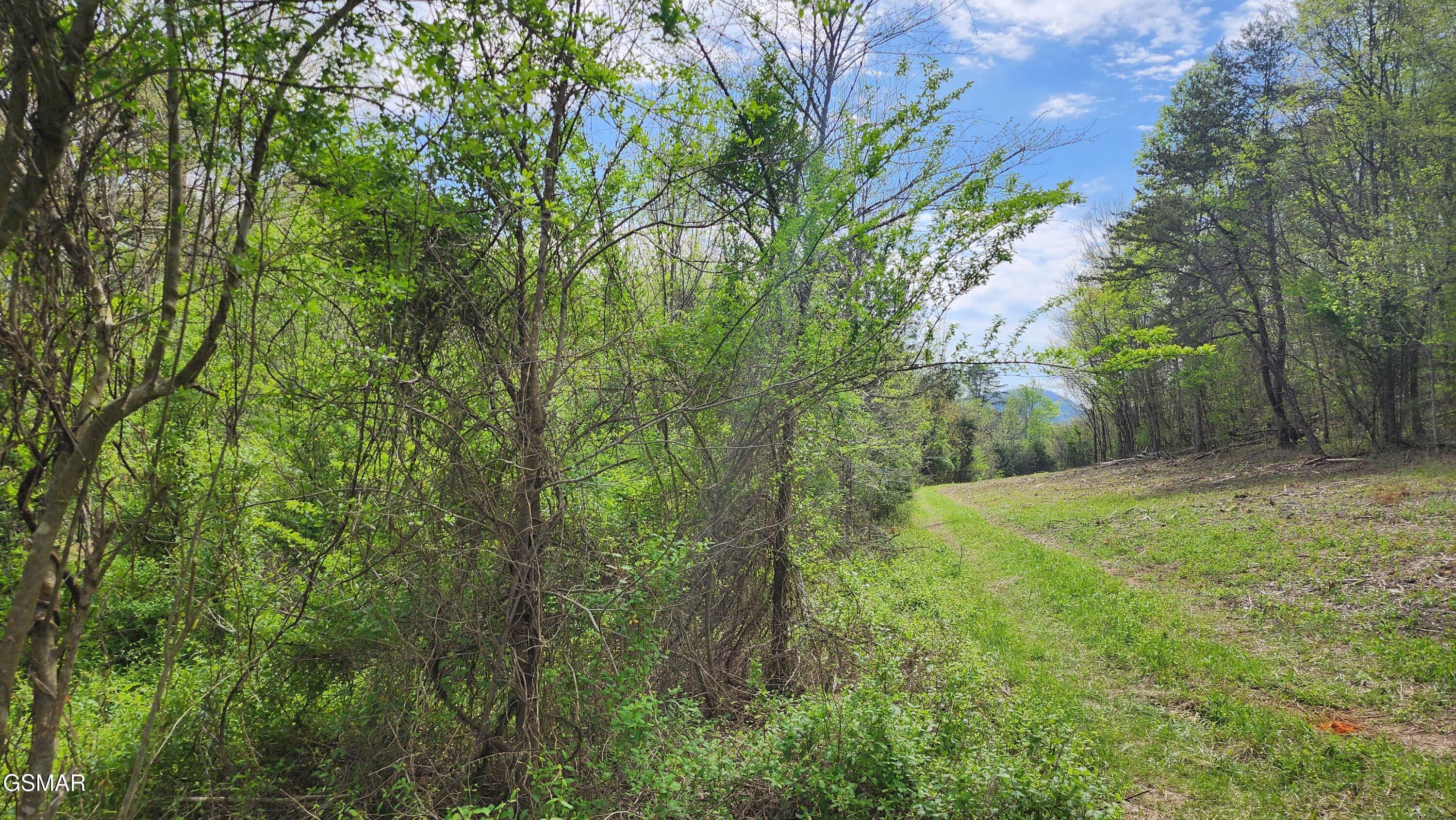Property Photo:  Lot 36 English Fields Dr  TN 37821 
