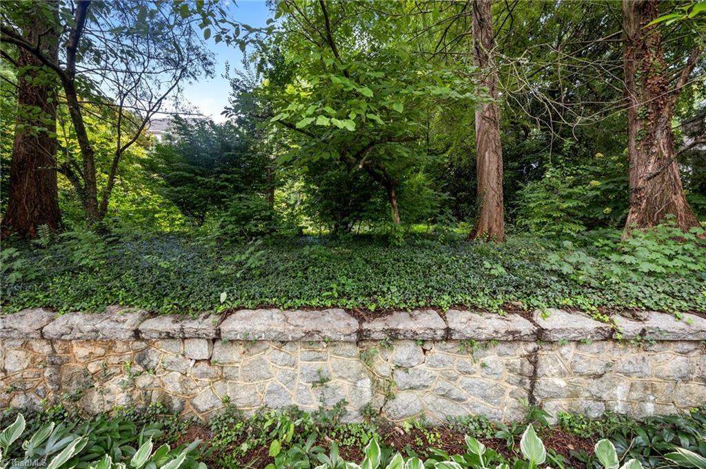 Property Photo: 0 W Gloria Avenue NC 27127